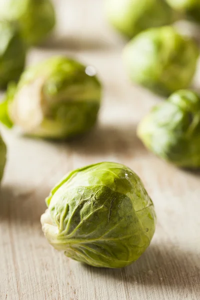 Organic Green Brussel Sprouts — Stock Photo, Image