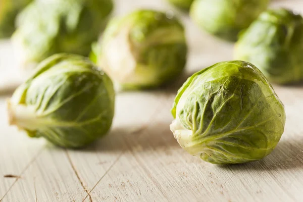 Organic Green Brussel Sprouts — Stock fotografie