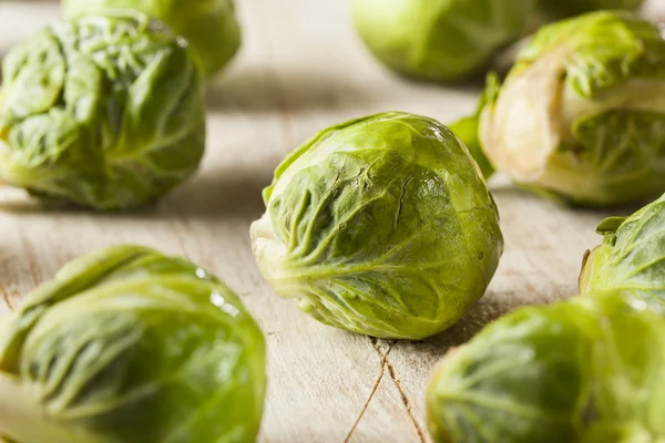 Biologische groene brussel spruiten — Stockfoto