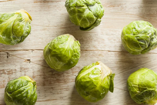 Organic Green Brussel Sprouts — Stock Photo, Image