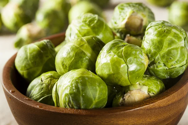 Organic Green Brussel Sprouts — Stock Photo, Image