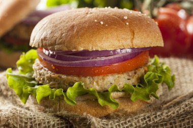 Organik ızgara siyah fasulye burger