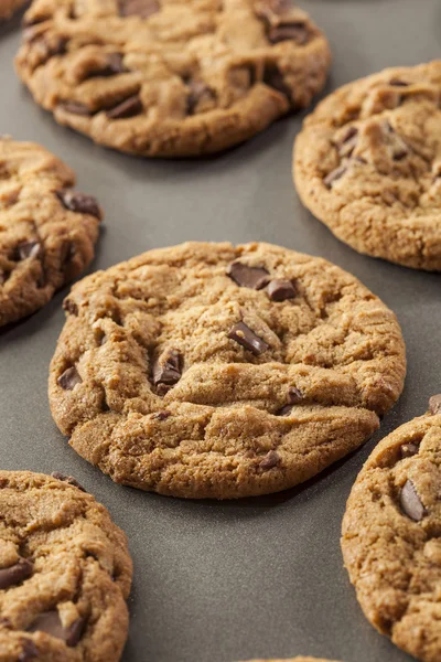 Домашнє печиво з шоколадними чіпсами — стокове фото