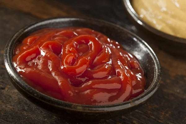 Salsa de Ketchup roja ecológica — Foto de Stock