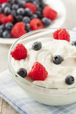 taze organik sağlıklı yoğurt