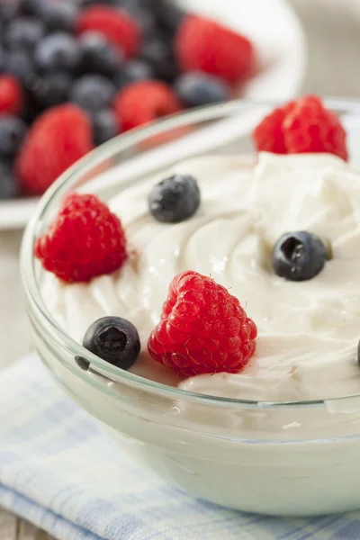 Fresh Organic Healthy Yogurt — Stock Photo, Image