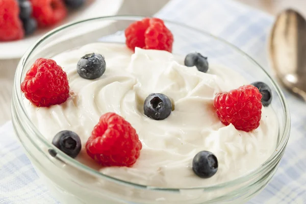 Свіжий органічний здоровий йогурт — стокове фото