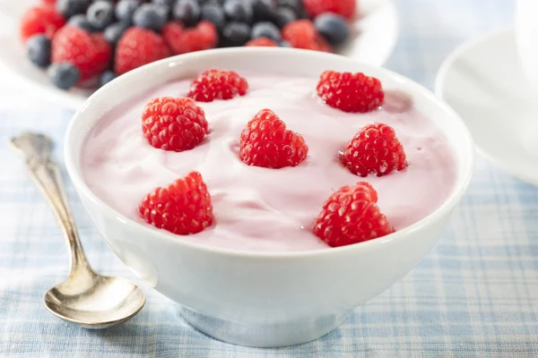 Свежий органический здоровый йогурт — стоковое фото