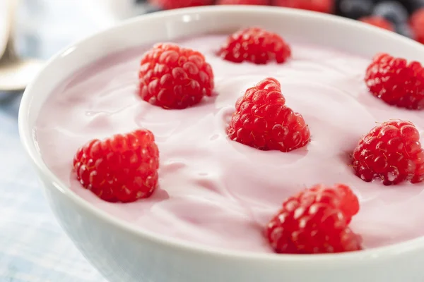 Yogurt fresco biologico sano — Foto Stock