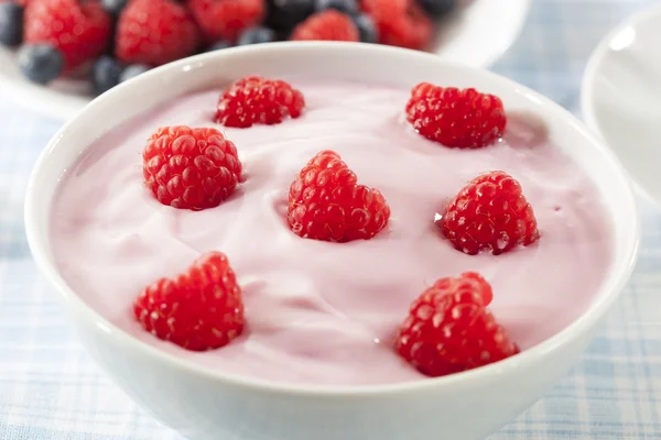 Свежий органический здоровый йогурт — стоковое фото
