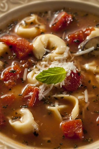 Rustico fatti in casa Tortellini Minestra — Foto Stock