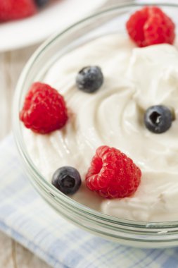 taze organik sağlıklı yoğurt