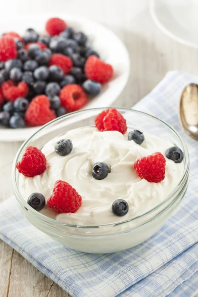 Свіжий органічний здоровий йогурт — стокове фото
