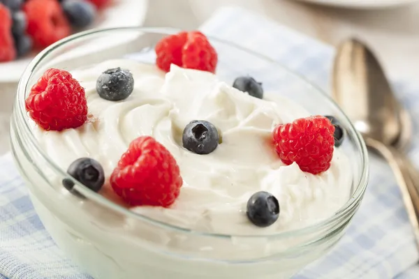 Frischer gesunder Bio-Joghurt — Stockfoto