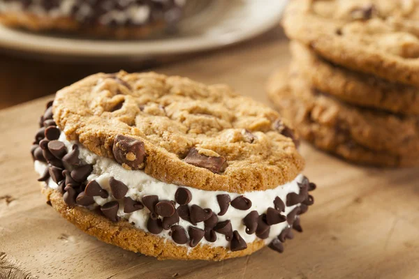 Chocolate chip cookie ijs sandiwch — Stockfoto
