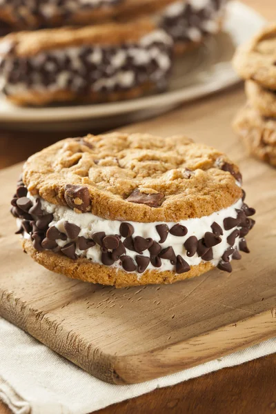 Chocolate chip cookie ijs sandiwch — Stockfoto