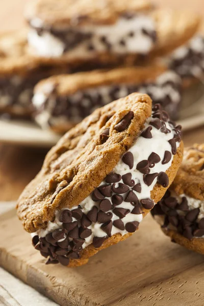 Çikolata parçalı kurabiye dondurma sandiwch — Stok fotoğraf