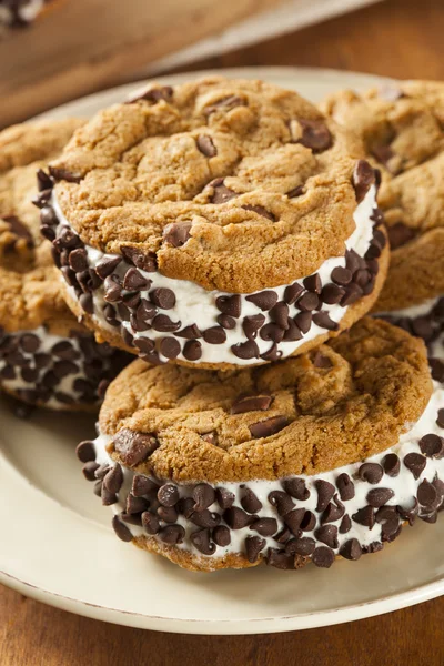 Sandiwch 手作りチョコレート チップ クッキー アイス クリーム アイスクリーム — ストック写真