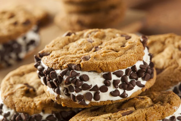 Sandiwch 手作りチョコレート チップ クッキー アイス クリーム アイスクリーム — ストック写真