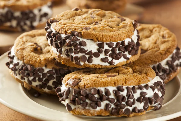 Chocolate Chip Cookie Ice Cream Sandiwch — Stock Photo, Image