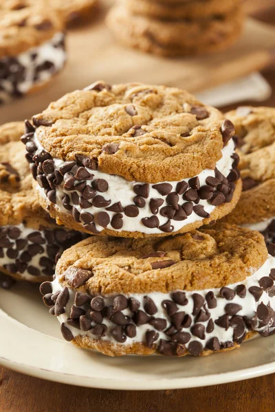 Chocolate chip cookie ijs sandiwch — Stockfoto