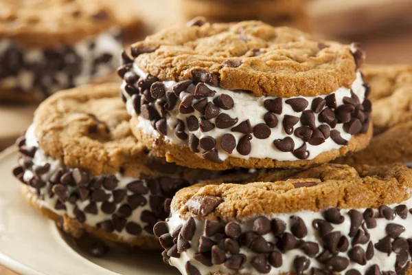 Çikolata parçalı kurabiye dondurma sandiwch — Stok fotoğraf