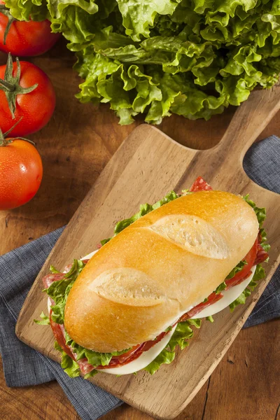 Homemade Italian Sub Sandwich — Stock Photo, Image