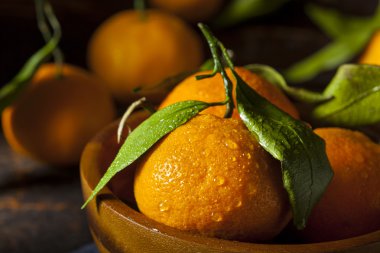 resfreshing organik mandalina