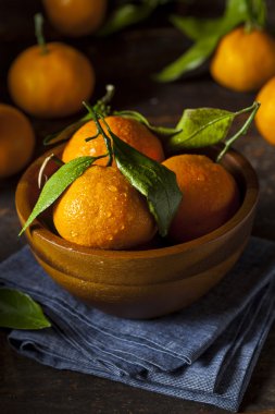 resfreshing organik mandalina