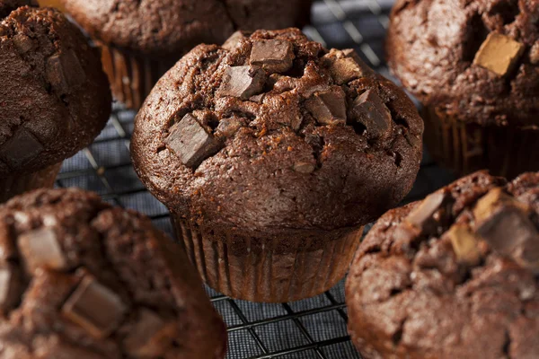 Muffin doble de la viruta del chocolate —  Fotos de Stock