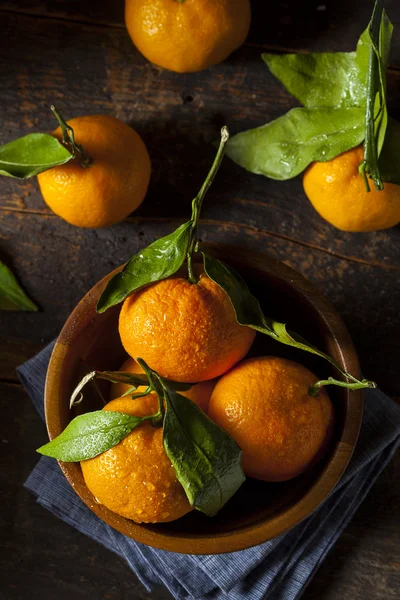 Orange mandarine biologique rafraîchissante — Photo