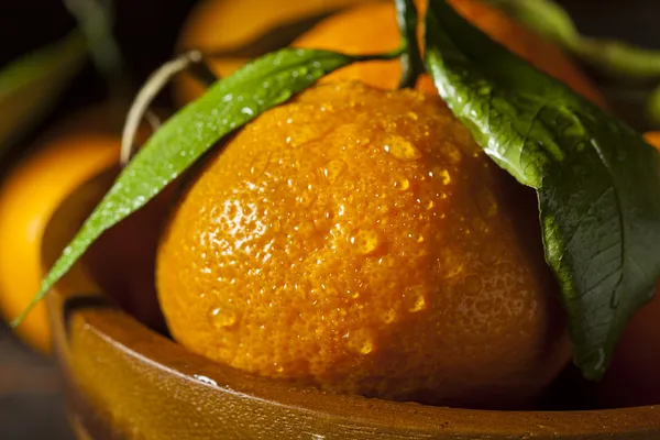 Освежающий органический мандаринский апельсин — стоковое фото