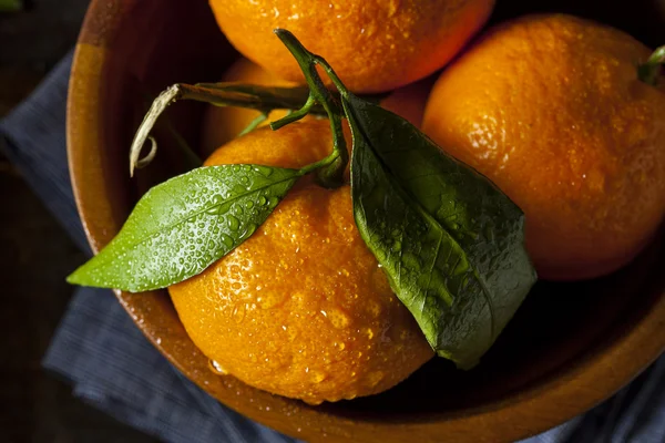 Resfreshing organik mandalina — Stok fotoğraf