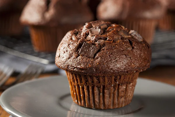 Muffin chip de chocolate duplo — Fotografia de Stock