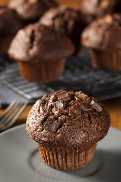 Double Chocolate Chip Muffin — Stock Photo, Image