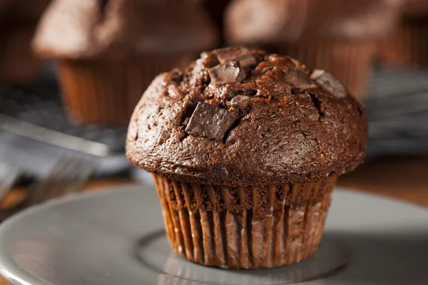 Muffin doble de la viruta del chocolate —  Fotos de Stock