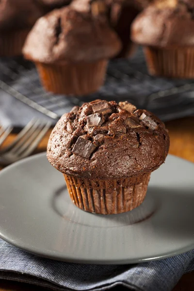 Muffin chip de chocolate duplo — Fotografia de Stock