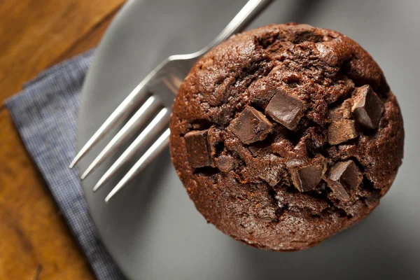 Muffin chip de chocolate duplo — Fotografia de Stock