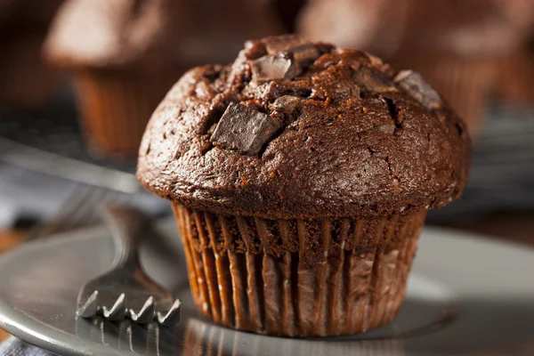 Dubbele chocolade chip muffin — Stockfoto