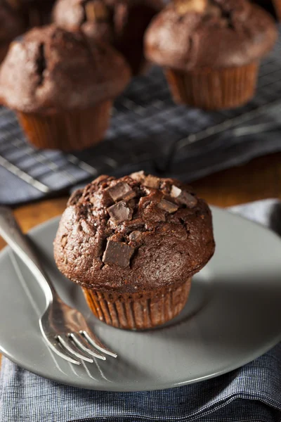 Muffin doble de la viruta del chocolate —  Fotos de Stock