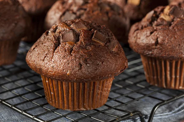 Dobbelt chokolade Chip Muffin - Stock-foto