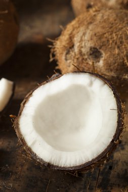 taze organik kahverengi Hindistan cevizi