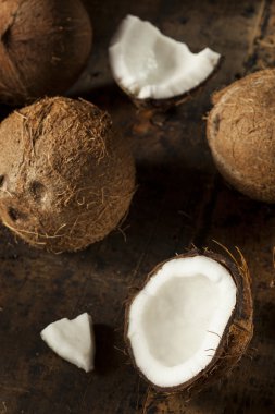 taze organik kahverengi Hindistan cevizi