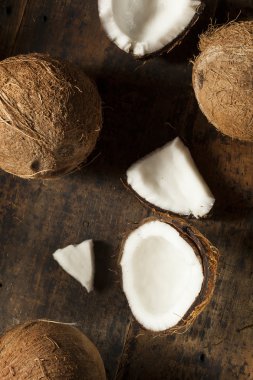 taze organik kahverengi Hindistan cevizi