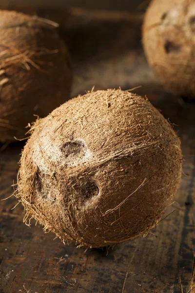 Verse organische bruin kokosnoot — Stockfoto