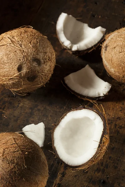 신선한 유기농 갈색 코코넛 — 스톡 사진