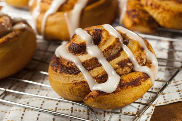 Homemade Cinnamon Roll Pastry — Stock Photo, Image