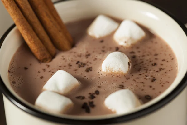 Gurme sıcak çikolatalı süt — Stok fotoğraf