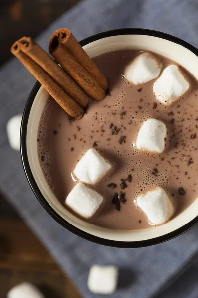 Chocolat chaud gourmand au lait — Photo