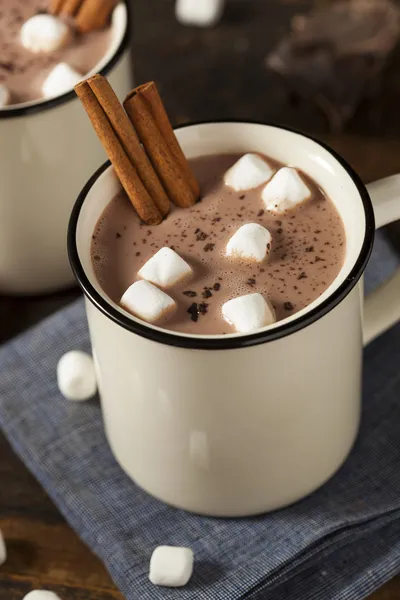 맛 있는 핫 초콜릿 우유 — 스톡 사진